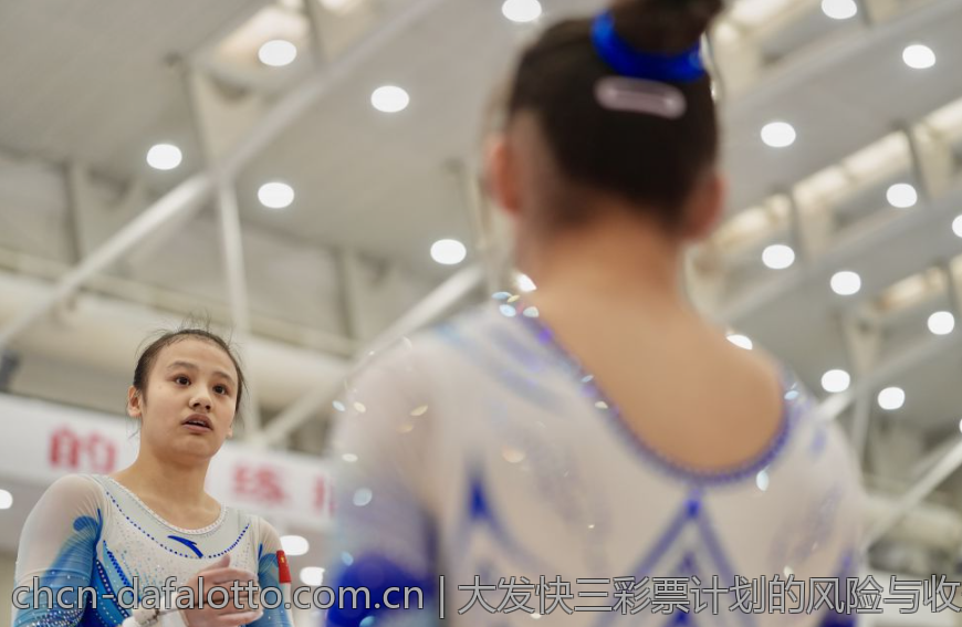 大发快三彩票计划的风险与收益分析
