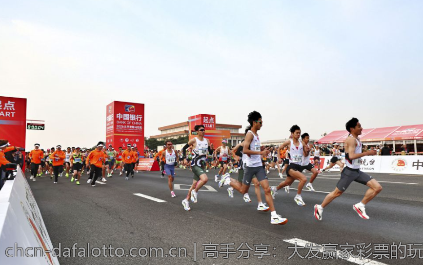 高手分享：大发赢家彩票的玩法心得