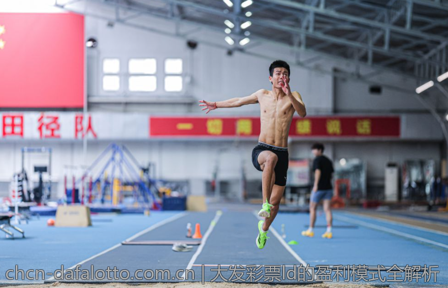 大发彩票ld的盈利模式全解析
